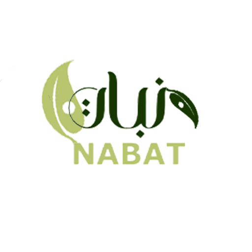 نبتة